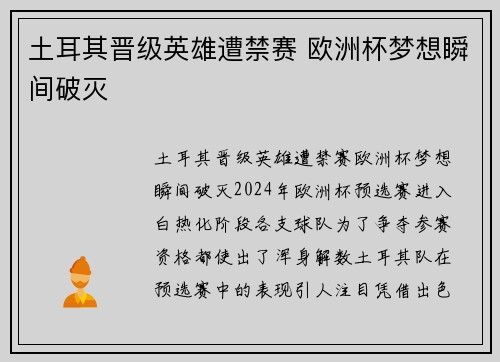 土耳其晋级英雄遭禁赛 欧洲杯梦想瞬间破灭