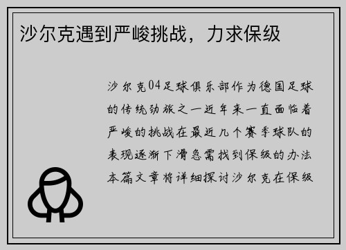 沙尔克遇到严峻挑战，力求保级
