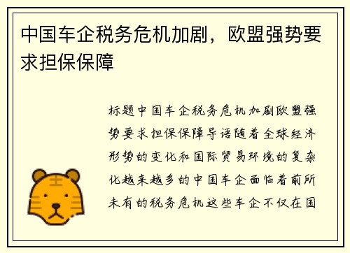 中国车企税务危机加剧，欧盟强势要求担保保障