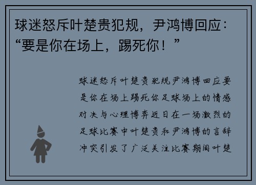 球迷怒斥叶楚贵犯规，尹鸿博回应：“要是你在场上，踢死你！”